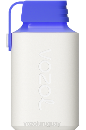 VOZOL GEAR 600 0ZLD346 - VOZOL Vape Flavors limón razz azul