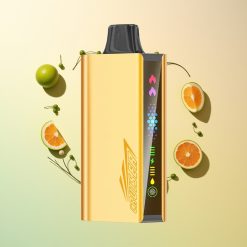 JNR Cruiser 12000 Menta Fresca con Pantalla Animada