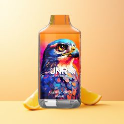 JNR Falcon 16000 Piña Mango Naranja 22ml Dual Mesh
