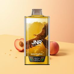 JNR Falcon Pro 28000 Melocotones Jugosos con Pantalla Inteligente