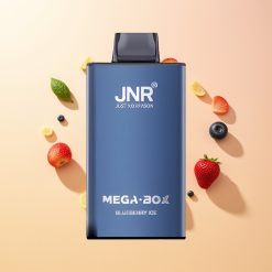 JNR Mega Box 25000 Helado de Arándanos con Doble Malla