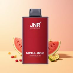 JNR Mega Box 25000 Sandía Hielo 850mAh