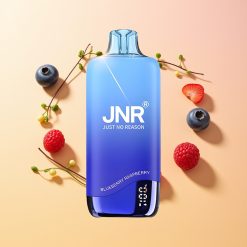 JNR Rainbow 10500 Arándano Frambuesa 600mAh