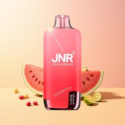 JNR Rainbow 10500 Sandía Hielo 18ml