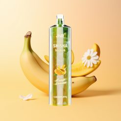 JNR Shisha Hookah 12000 Mango Banana 24ml 750mAh Tipo-C