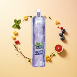 JNR Shisha Hookah 12000 Menta Arándano 24ml