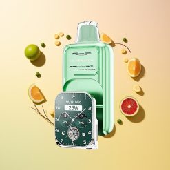 JNR VapeWatch 30000 Menta de Miami Dual Mesh 19mL