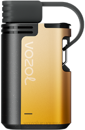 VOZOL GEAR 4000c/6000 0ZLD326 - VOZOL Vape Flavors kiwi maracuyá guayaba