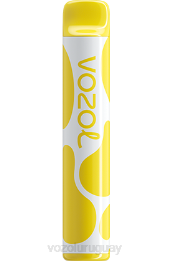 VOZOL JOYGO 600 0ZLD376 - VOZOL Vape Flavors hielo de plátano