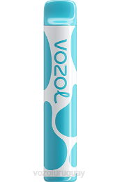 VOZOL JOYGO 600 0ZLD377 - VOZOL Vape Sale arándano frambuesa agria