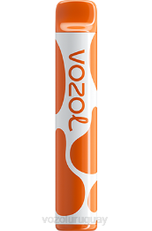 VOZOL JOYGO 600 0ZLD379 - VOZOL Montevideo café