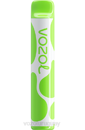 VOZOL JOYGO 600 0ZLD382 - VOZOL Uruguay kiwi maracuyá guayaba