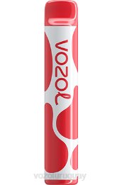 VOZOL JOYGO 600 0ZLD385 - VOZOL Vape Buy lichi guayaba sandía