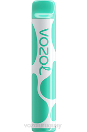VOZOL JOYGO 600 0ZLD387 - VOZOL Vape Sale mentol