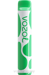 VOZOL JOYGO 600 0ZLD395 - VOZOL Vape Buy hielo de sandia
