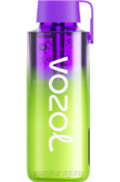 VOZOL NEON 10000 0ZLD237 - VOZOL Vape Sale sandía frambuesa