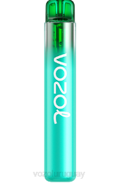 VOZOL NEON 800 0ZLD246 - VOZOL Vape Flavors arándano frambuesa agria