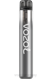 VOZOL NEON 800 0ZLD266 - VOZOL Vape Flavors té británico