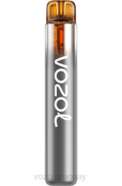 VOZOL NEON 800 0ZLD276 - VOZOL Vape Flavors gris conde naranja