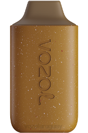 VOZOL STAR 6000 0ZLD109 - VOZOL Montevideo hielo de cola