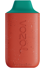 VOZOL STAR 6000 0ZLD111 - VOZOL Vape Uruguay sandía de fruta del dragón