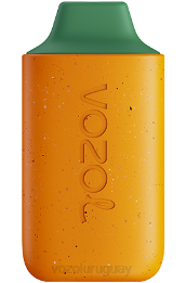 VOZOL STAR 6000 0ZLD115 - VOZOL Vape Buy kiwi guayaba maracuyá