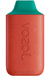 VOZOL STAR 6000 0ZLD117 - VOZOL Vape Sale lichi guayaba sandía