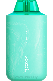 VOZOL STAR 6000/8000v2 0ZLD57 - VOZOL Vape Sale menta fresca
