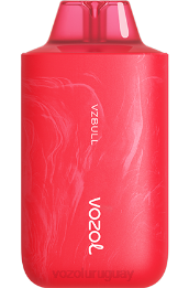 VOZOL STAR 6000/8000v2 0ZLD68 - VOZOL Review vzbull