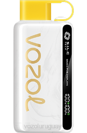 VOZOL STAR 9000/12000 0ZLD25 - VOZOL Vape Buy kiwi maracuyá guayaba