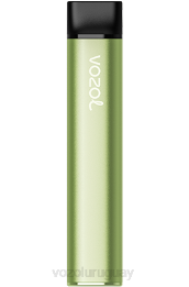 VOZOL SWITCH 600 0ZLD223 - VOZOL Vape Sabores menta fresca