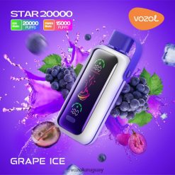 Vozol Vape Sale hielo de uva 2PNZP49 VOZOL STAR 20000