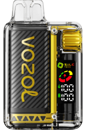 VOZOL VISTA 16000/20000 0ZLD8 - VOZOL Review hielo de mango